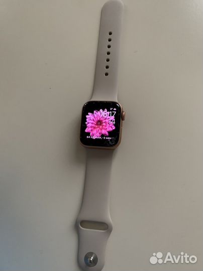 Apple watch