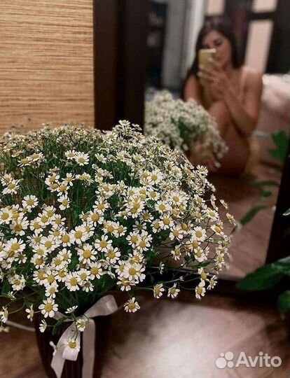 Букеты. Доставка ромашек