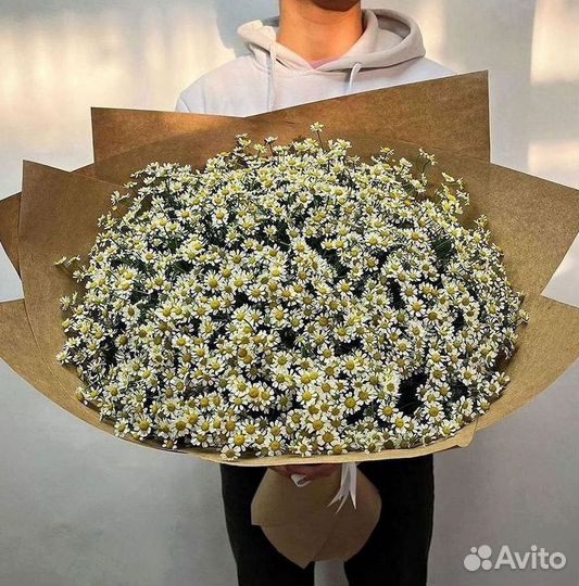 Ромашки Пионы Розы Доставка