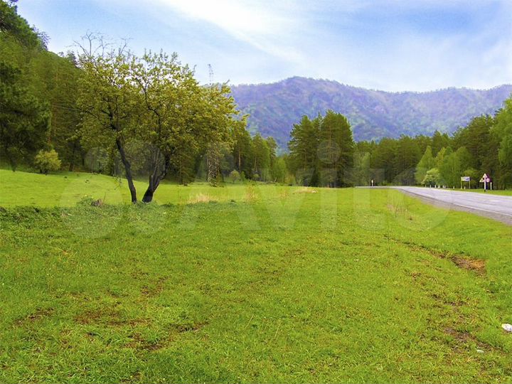 Участок 100 сот. (СНТ, ДНП)