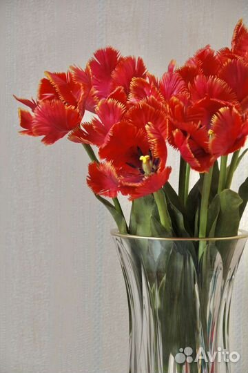 Букет тюльпанов