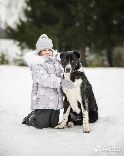 Герда в поисках семьи