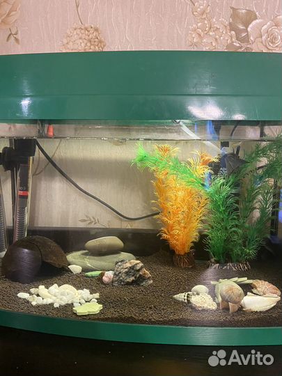 Аквариум