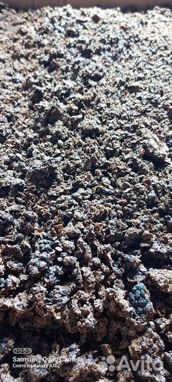 Мерва(вытопки)