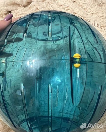 Шар для грызунов