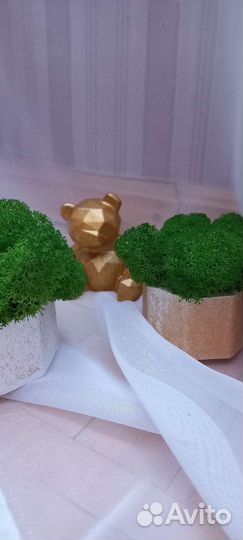 Кашпо из гипса со стабилизированным мхом