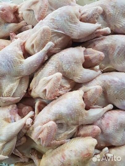 Мясо перепелов