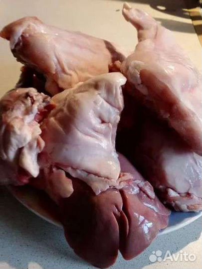 Мясо молодого кролика