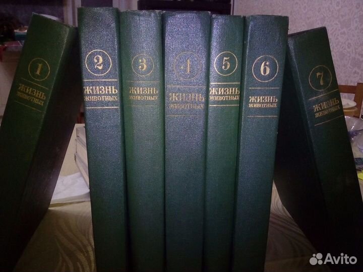 Породам книги