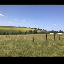 Участок 12 сот. (СНТ, ДНП)