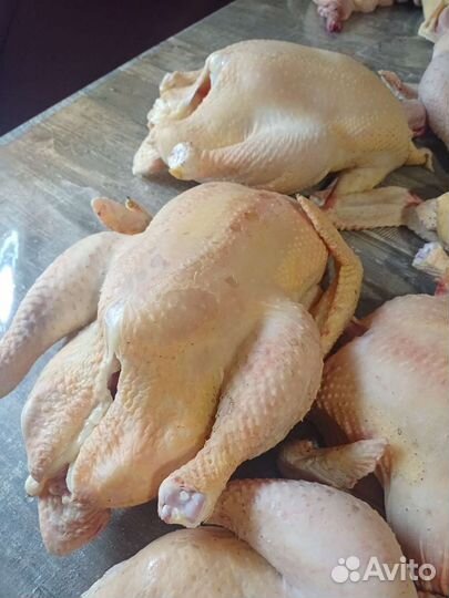 Мясо домашнего бройлера