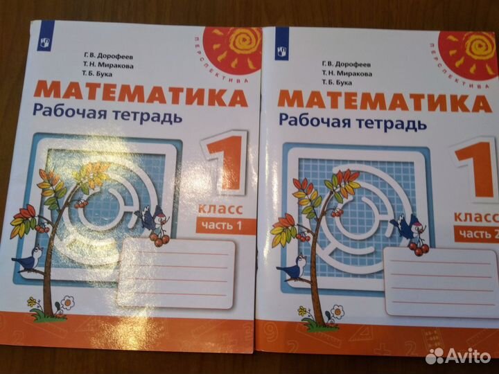 Рабочие тетради и учебник