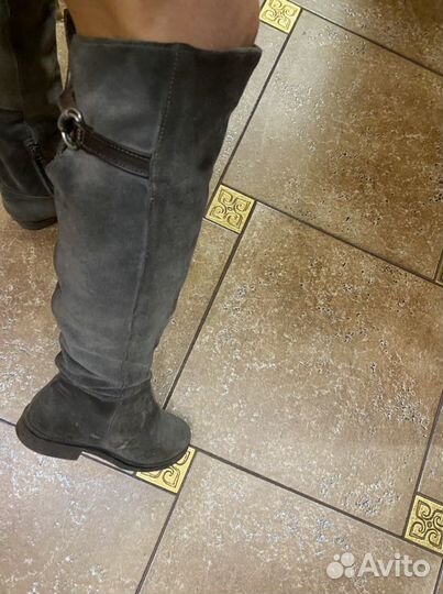 Сапоги демисезонные