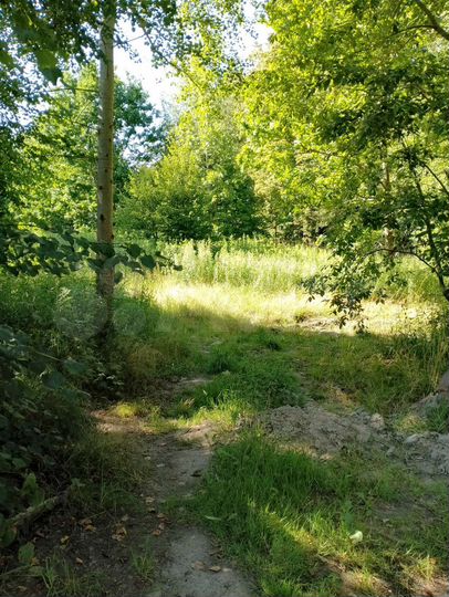 Участок 12 сот. (ИЖС)