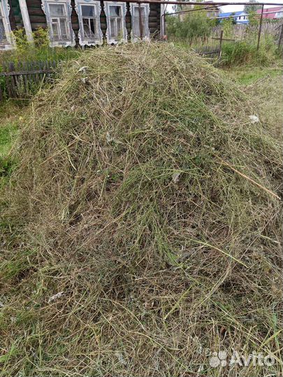 Отдам сено готовое сухое скошенной косой