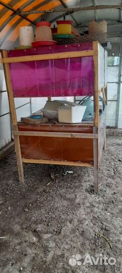 Брудер для цыплят новый