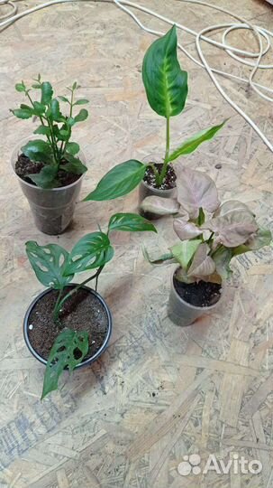 Наборы по одной цене