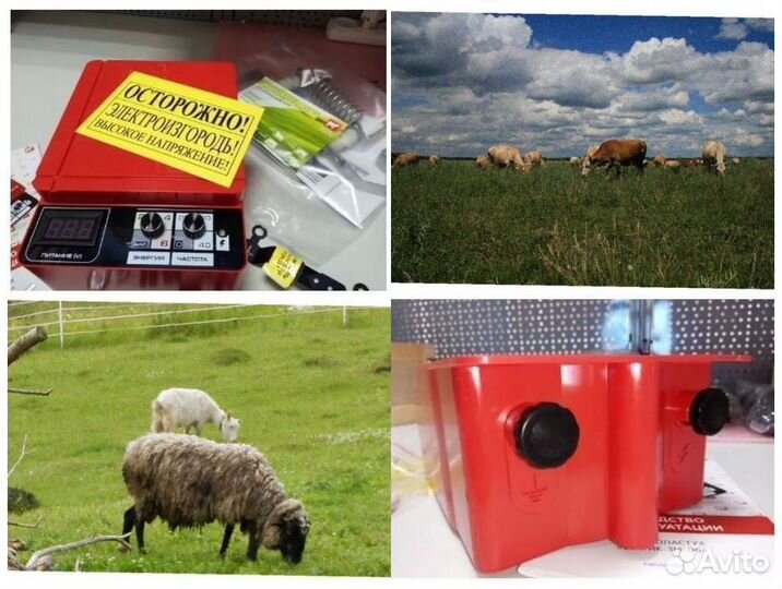 Электропастух