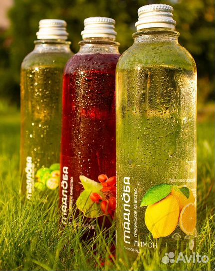 Мадлоба. Лимонад оптом. Лимонад от производителя