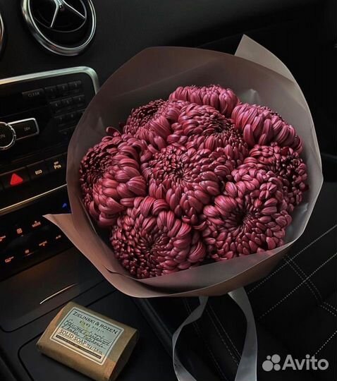 Одноголовая хризантема