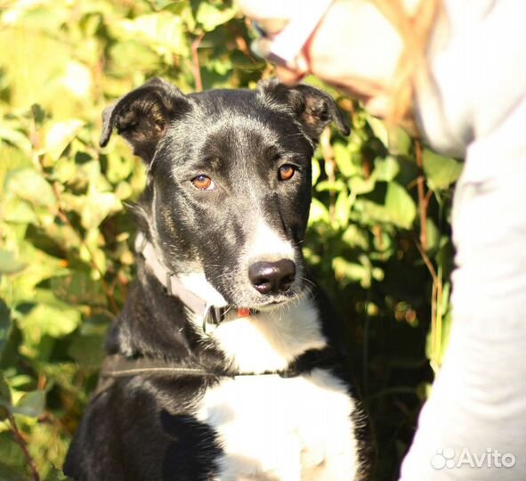 Скромная Магда