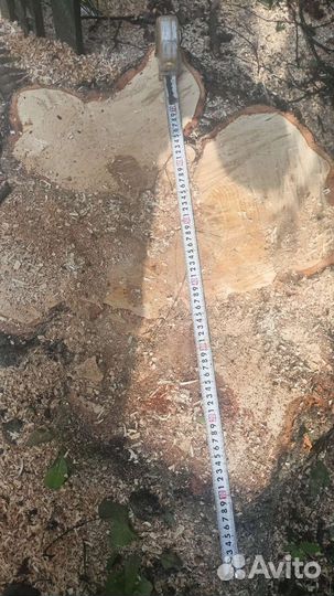 Дробление пней