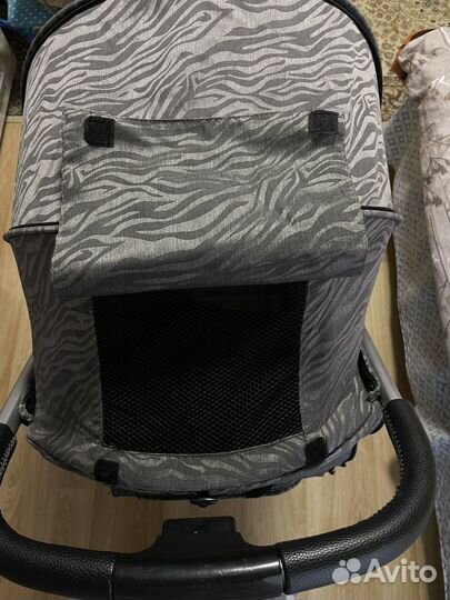 Прогулочная коляска everflo