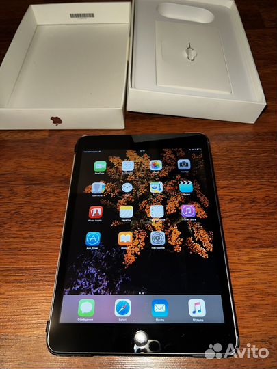 iPad mini