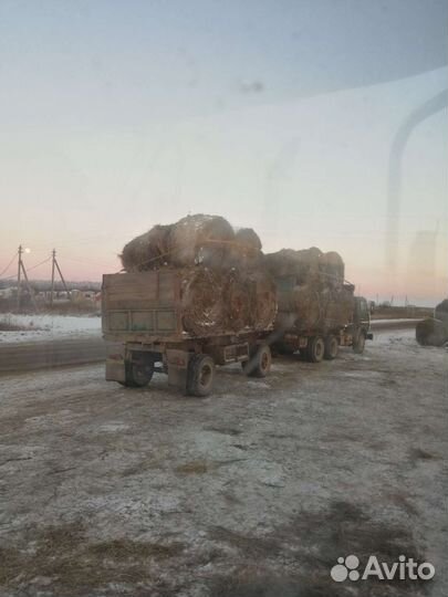 Сено в рулонах