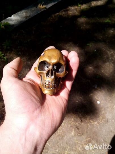 Бронзовый череп