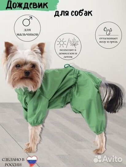 Дождевик для маленькой собаки S