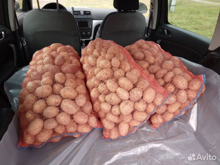 Картофель на еду