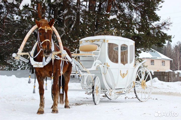 Карета для лошади