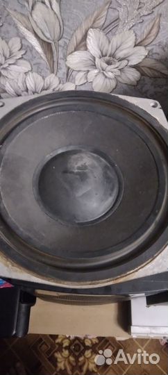 Динамики нч