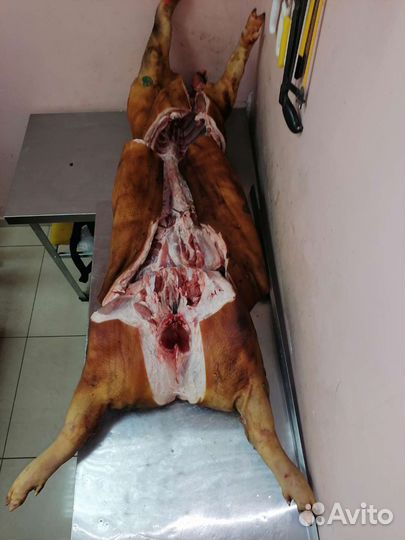 Мясо свинина