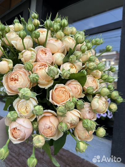 Цветы, кустовые розы, пионовидные, букет роз