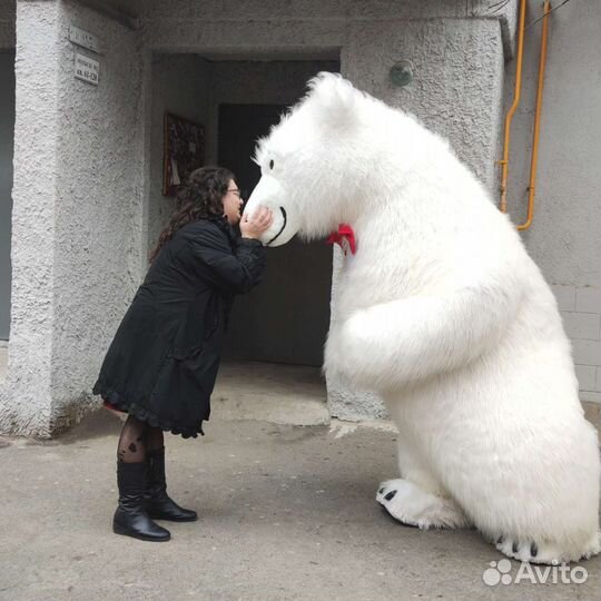 Поздравление от белого мишки