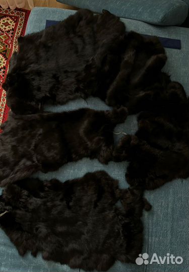 Продам шкуры кролика