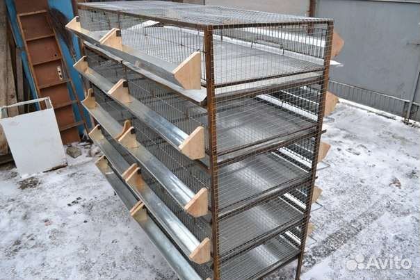 Клетки для бройлеров