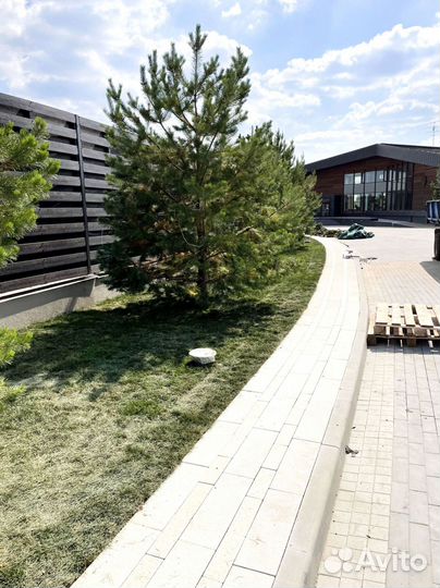 Рулонный газон укладка под ключ. Продажа