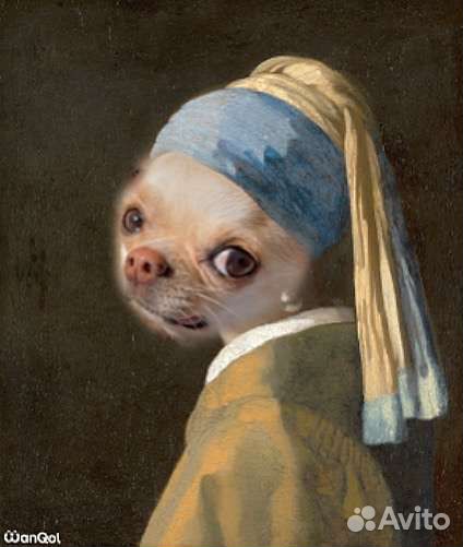 Передержка собак