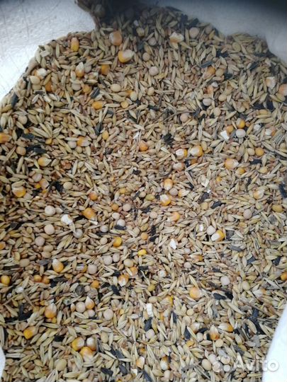 Зерно смесь