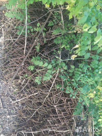 Сетка рабица