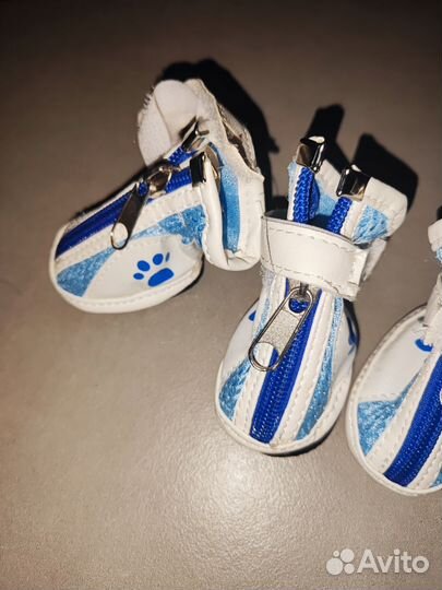 Ботинки весенние для собак, р. 3