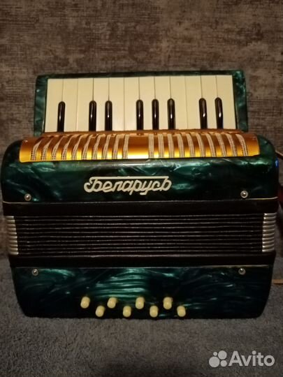 Аккордеон 