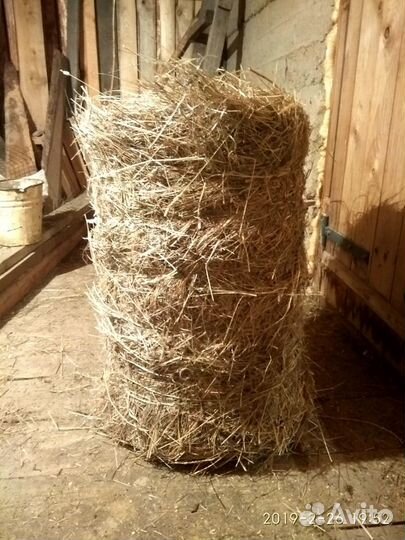 Сено в рулонах и мини-рулонах