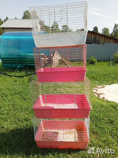 Клетка для большого попугая и клетки для кроликов
