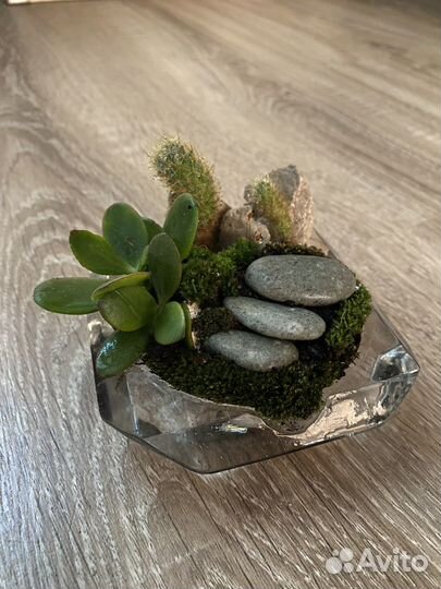 Флорариум Город в табакерке
