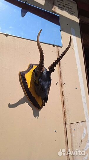 Предметы декора для интерьера