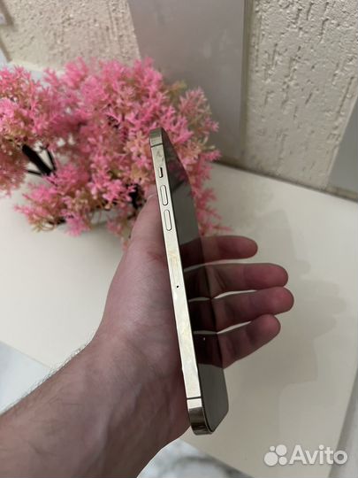 iPhone 12 Pro Max, 128 ГБ